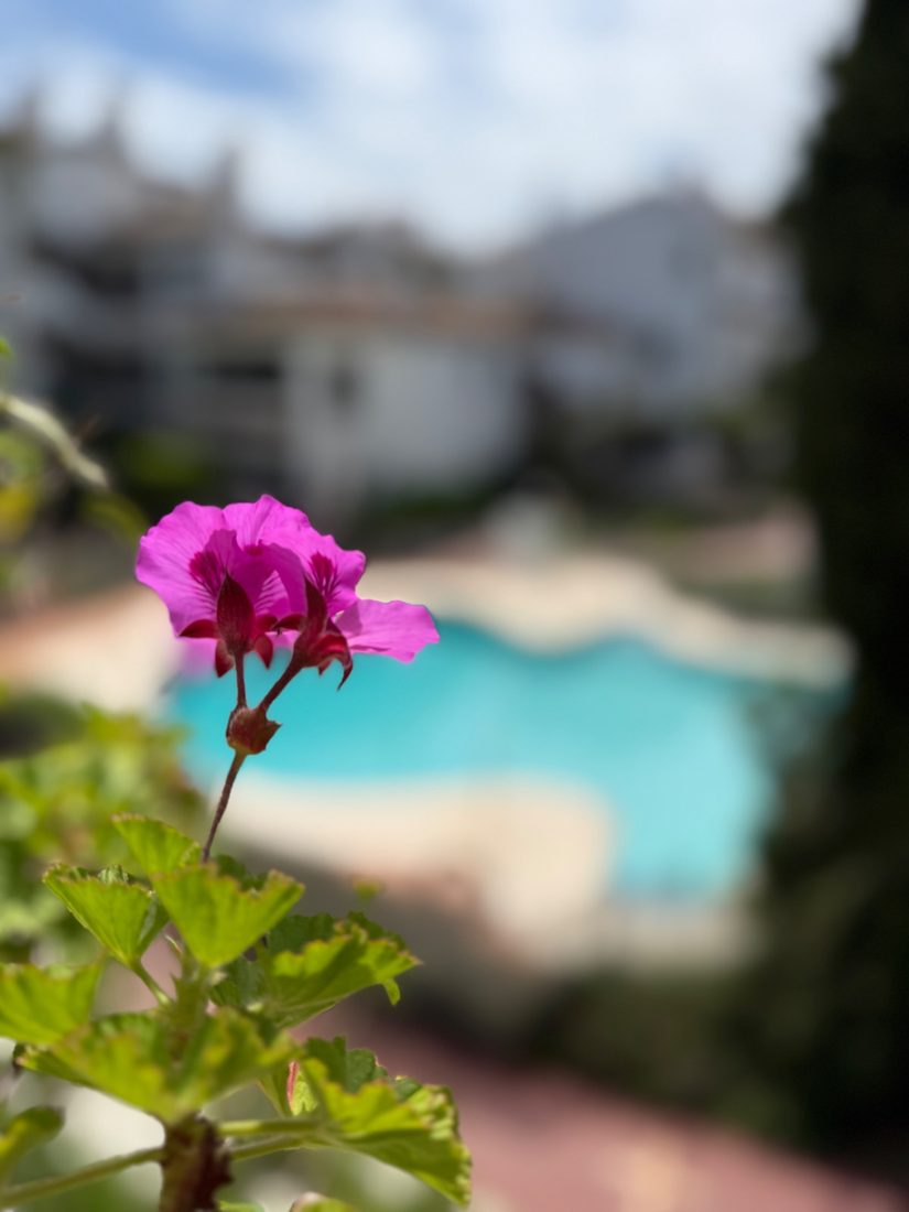 Zwembad Calahonda Park